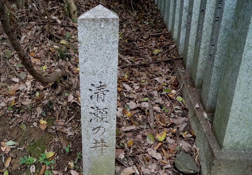 清瀬の井　裸石・姫石神社横です